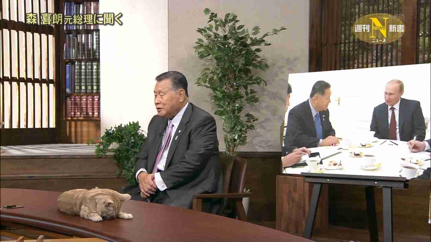 Image result for マーゴ 鳩山さん