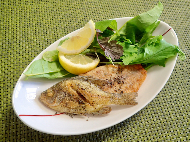 Image result for ブラックバス ムニエル