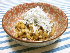 Image result for 納豆　シラス