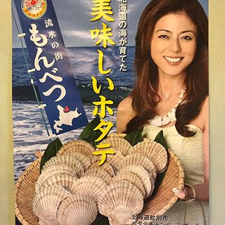 武田久美子 貝殻 真似에 대한 이미지 검색결과