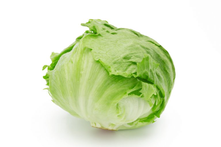 Image result for レタス