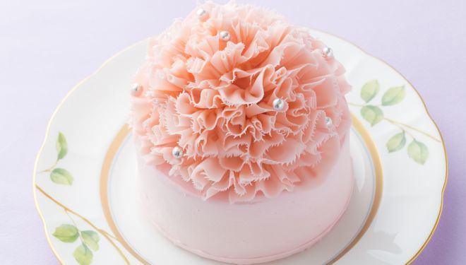 カーネーション ケーキ에 대한 이미지 검색결과