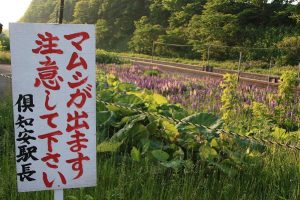 o0599039910607114691