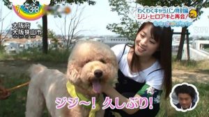 o0700039413430402823