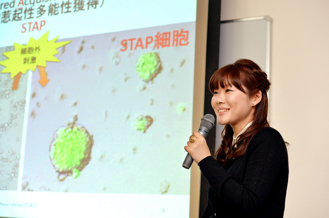 STAP細胞에 대한 이미지 검색결과