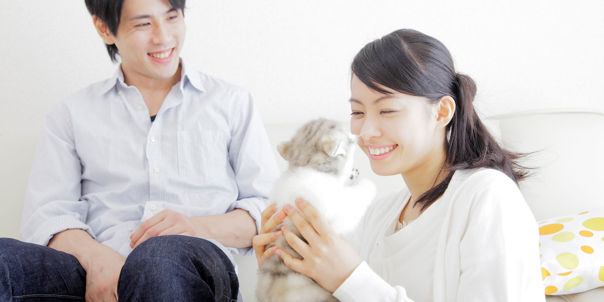 Image result for ペット家族