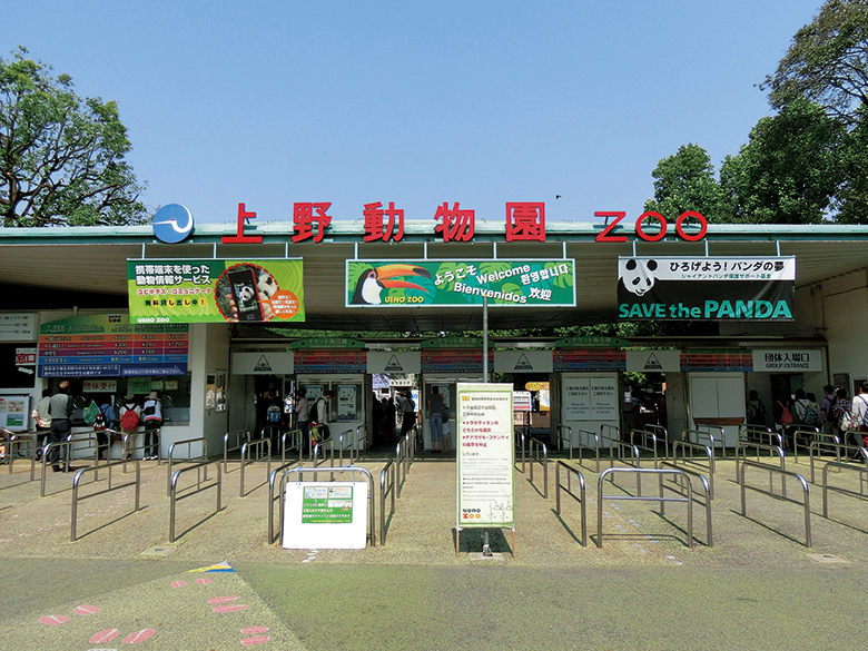 上野動物園でデートする際のおすすめプランをご紹介 Hachibachi