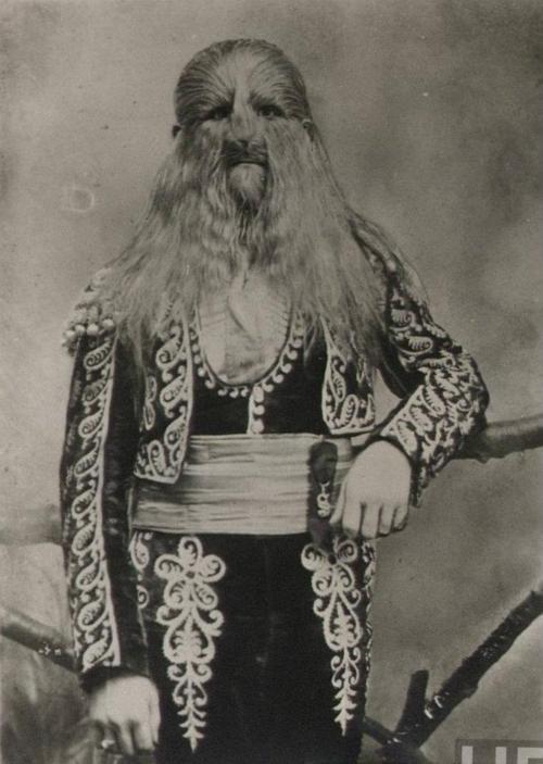 stephan bibrowski에 대한 이미지 검색결과