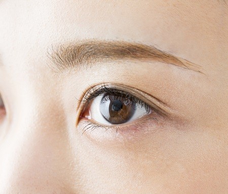 眉毛　에 대한 이미지 검색결과