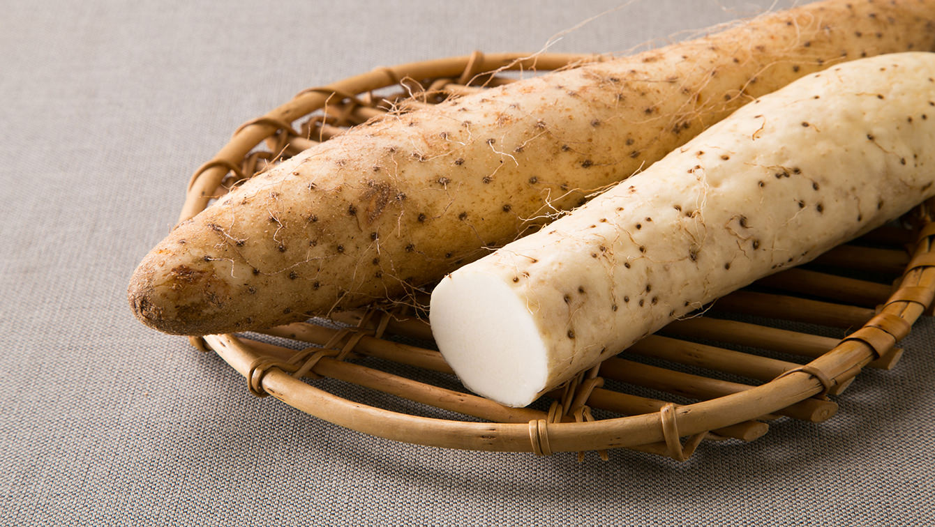 長芋에 대한 이미지 검색결과