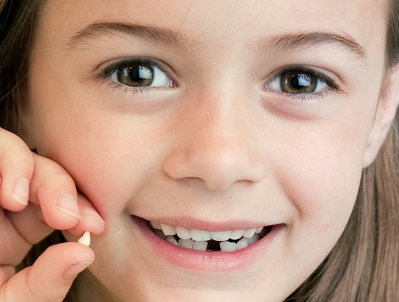 Conserva Los Dientes De Leche De Tus Hijos, Ya Que Pueden Salvarles La ...