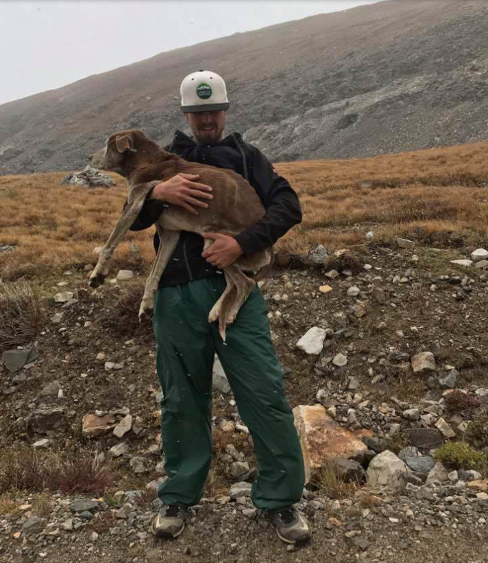 Trinity-rescates-lost-dog-2