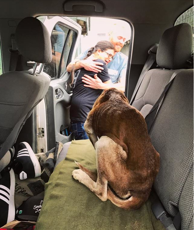 Trinity-rescates-lost-dog-3