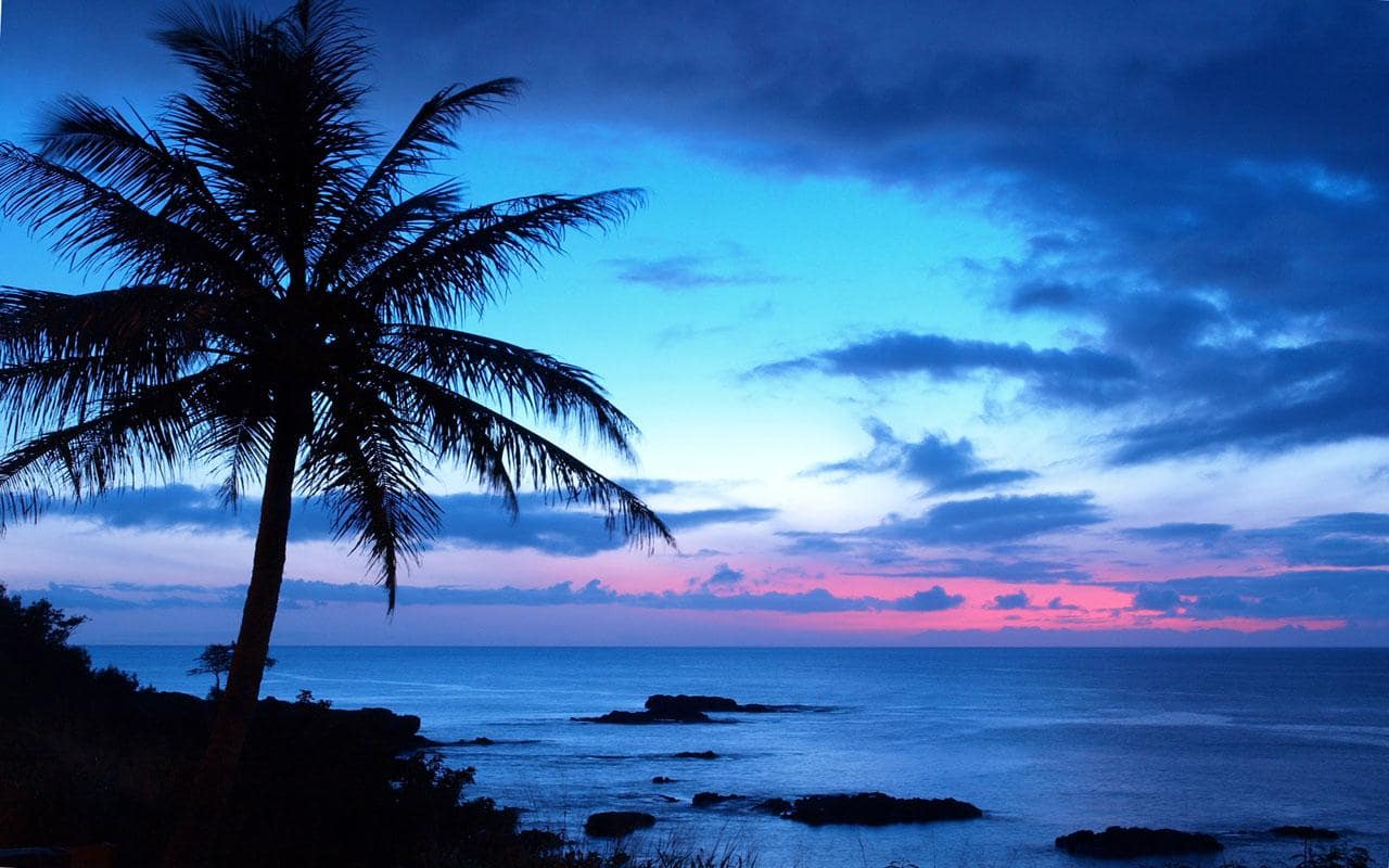 最も欲しかった 待ち受け ハワイ 虹 画像 無料の人気画像