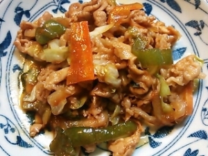 Image result for 焼肉炒め