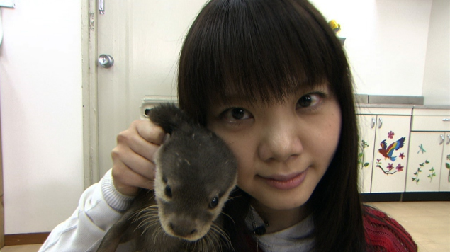 吉岡聖恵 カワウソ에 대한 이미지 검색결과