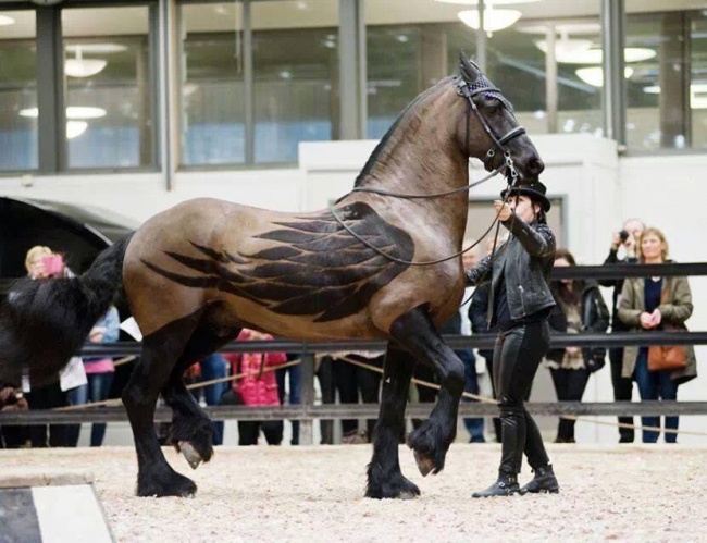 ftcreature / twitter