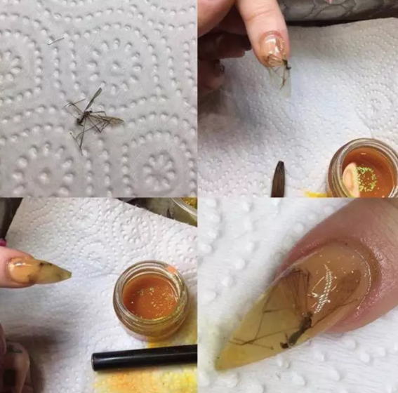 Alex Hindley / Via Facebook