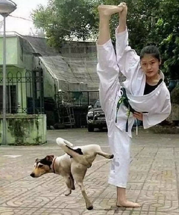 온라인 커뮤니티