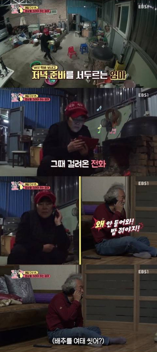 EBS '엄마를 찾지마'