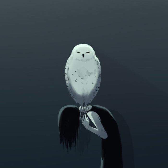 트위터 'avogado6'