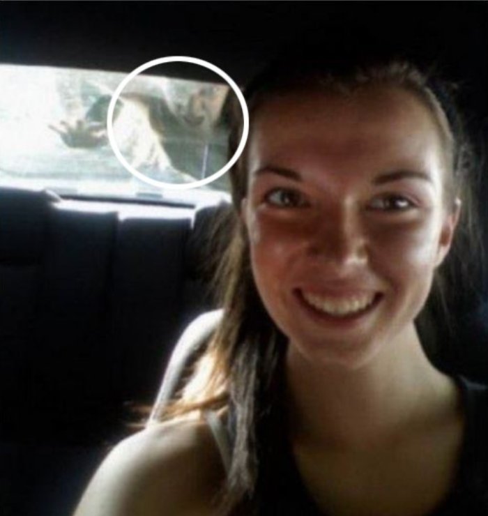 온라인 커뮤니티