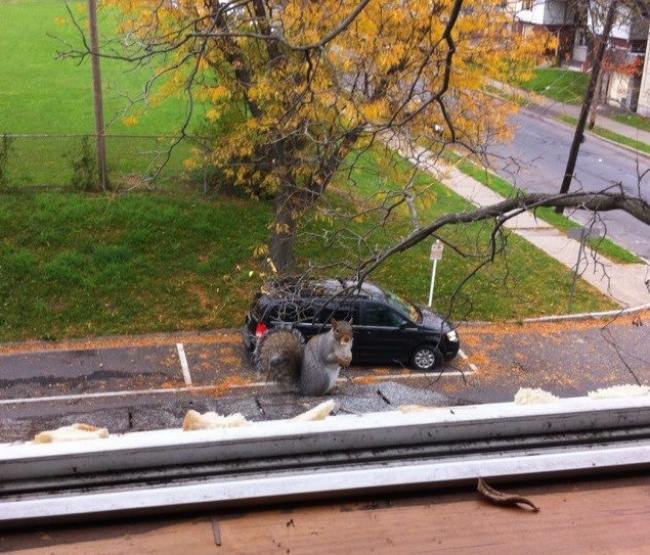 BoringEnormous / twitter