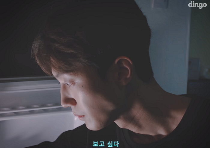 Youtube '딩고/dingo'