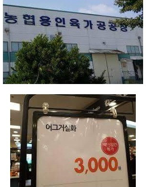 온라인 커뮤니티