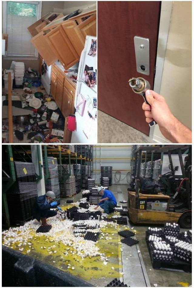 온라인 커뮤니티