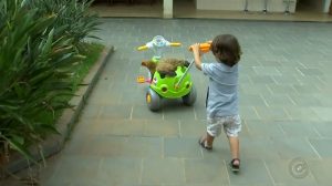 44bba363b2033ada1e93b0b7890e18c3