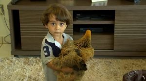 838ac0e7706e3dc2724ab85e8e4bb96a