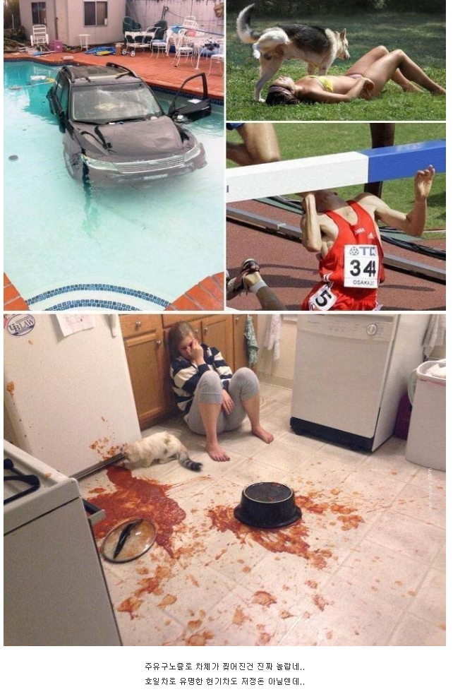 온라인 커뮤니티