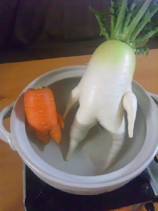 爆笑 面白い形の野菜 写真16 Hachibachi