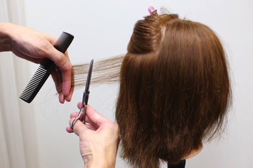 髪の毛　すく에 대한 이미지 검색결과