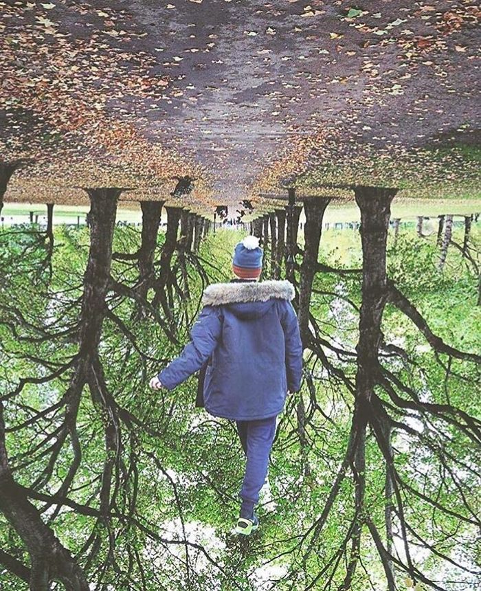 A Forest For Rest A Forest For Rest