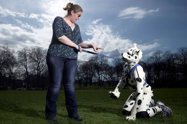 © The secret life of human pups