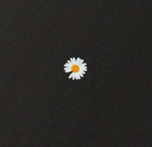 instagram, xxxibgdrgn