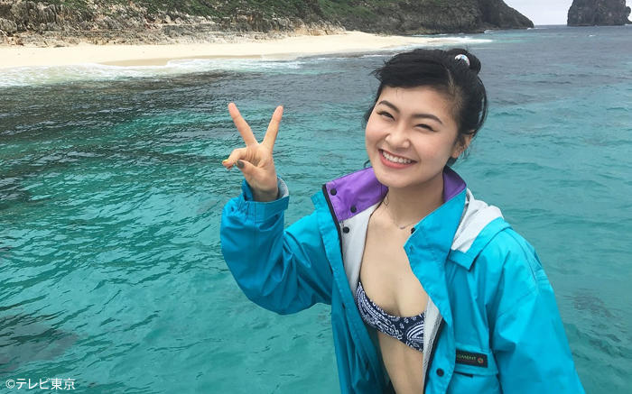 村上佳菜子에 대한 이미지 검색결과