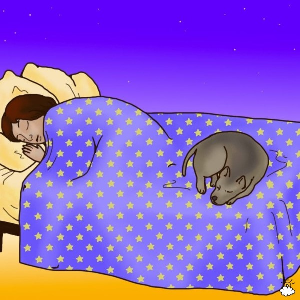 dogssleep10