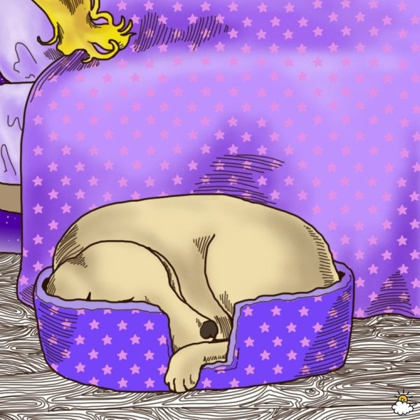 dogssleep5