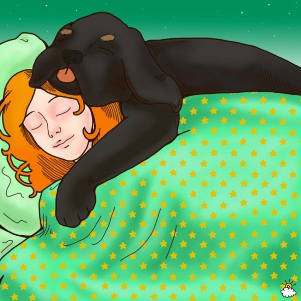 dogssleep9