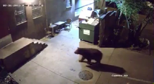 %eb%8f%84%eb%91%91%ea%b3%b0-0000008377ms