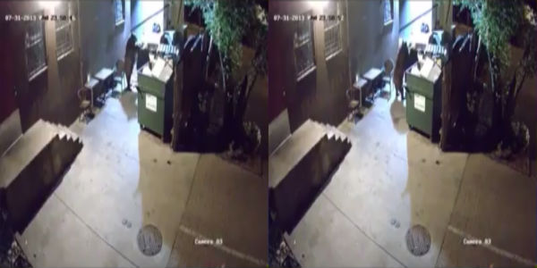 %eb%8f%84%eb%91%91%ea%b3%b0_%eb%b3%b8%eb%ac%b82