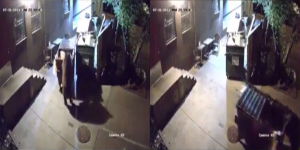 %eb%8f%84%eb%91%91%ea%b3%b0_%eb%b3%b8%eb%ac%b83