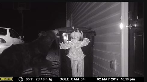 %ec%82%90%ec%97%90%eb%a1%9c_%ea%b3%b0_upi