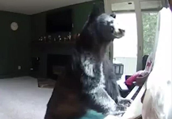 %ed%94%bc%ec%95%84%eb%85%b8_%ea%b3%b0_dailymail