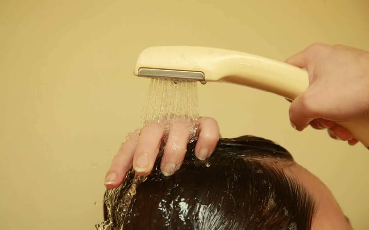 Image result for 湯シャン