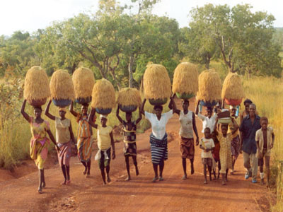 アフリカ에 대한 이미지 검색결과