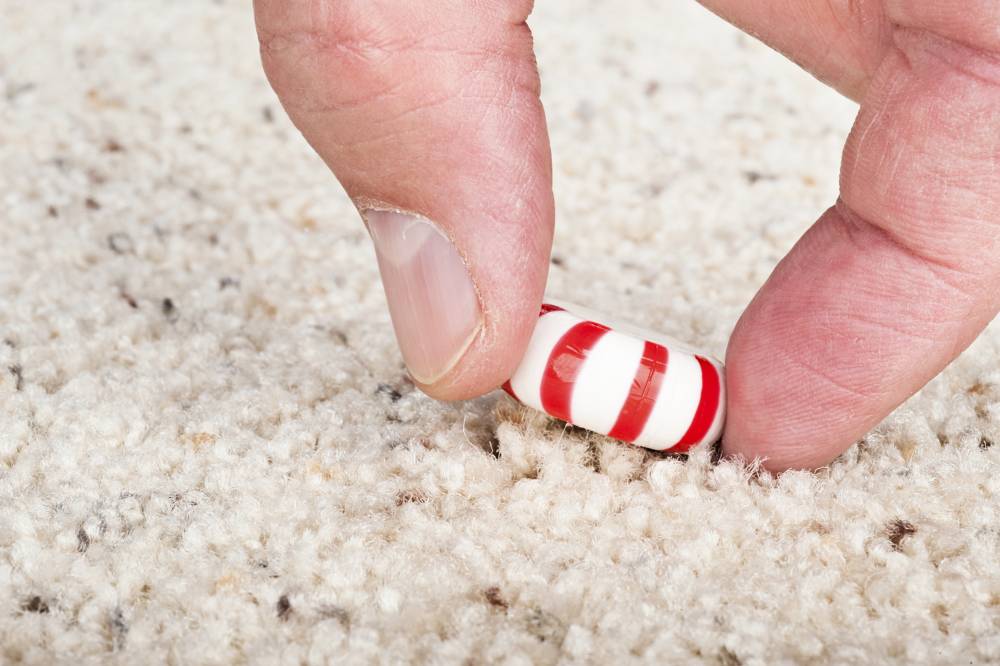 saude-comida-no-chao-20111105-001